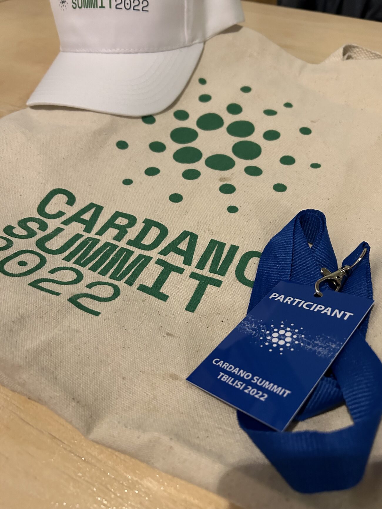 Go to the Cardano Summit. Trembling on my feet and knowing where I stand in a world 